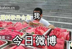 爆料吃瓜群众视频大全集,一场全民参与的娱乐盛宴